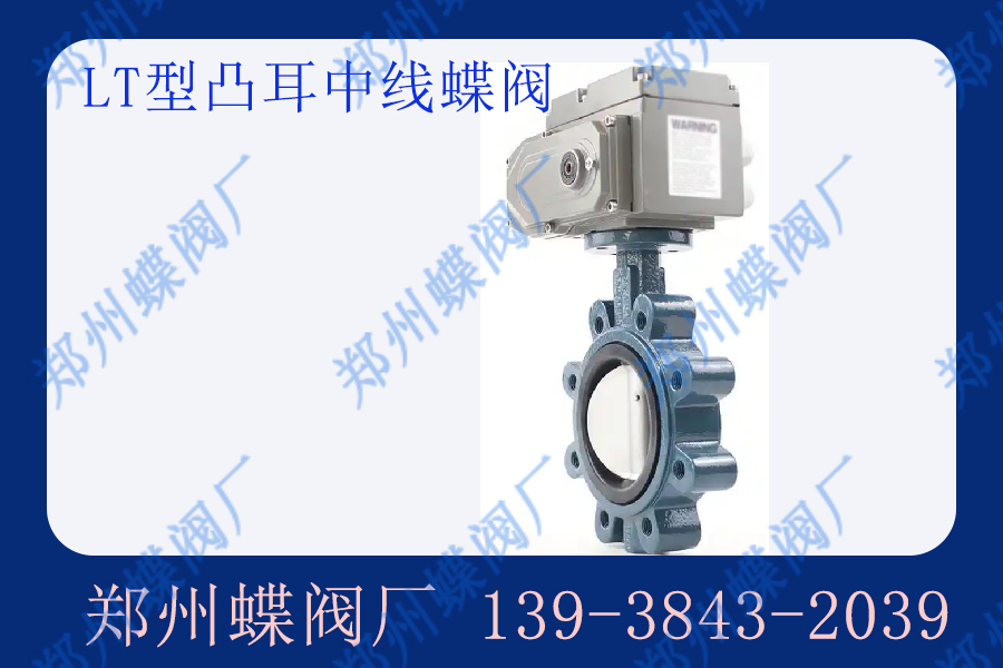 凸耳蝶閥的凸耳有哪些類型？